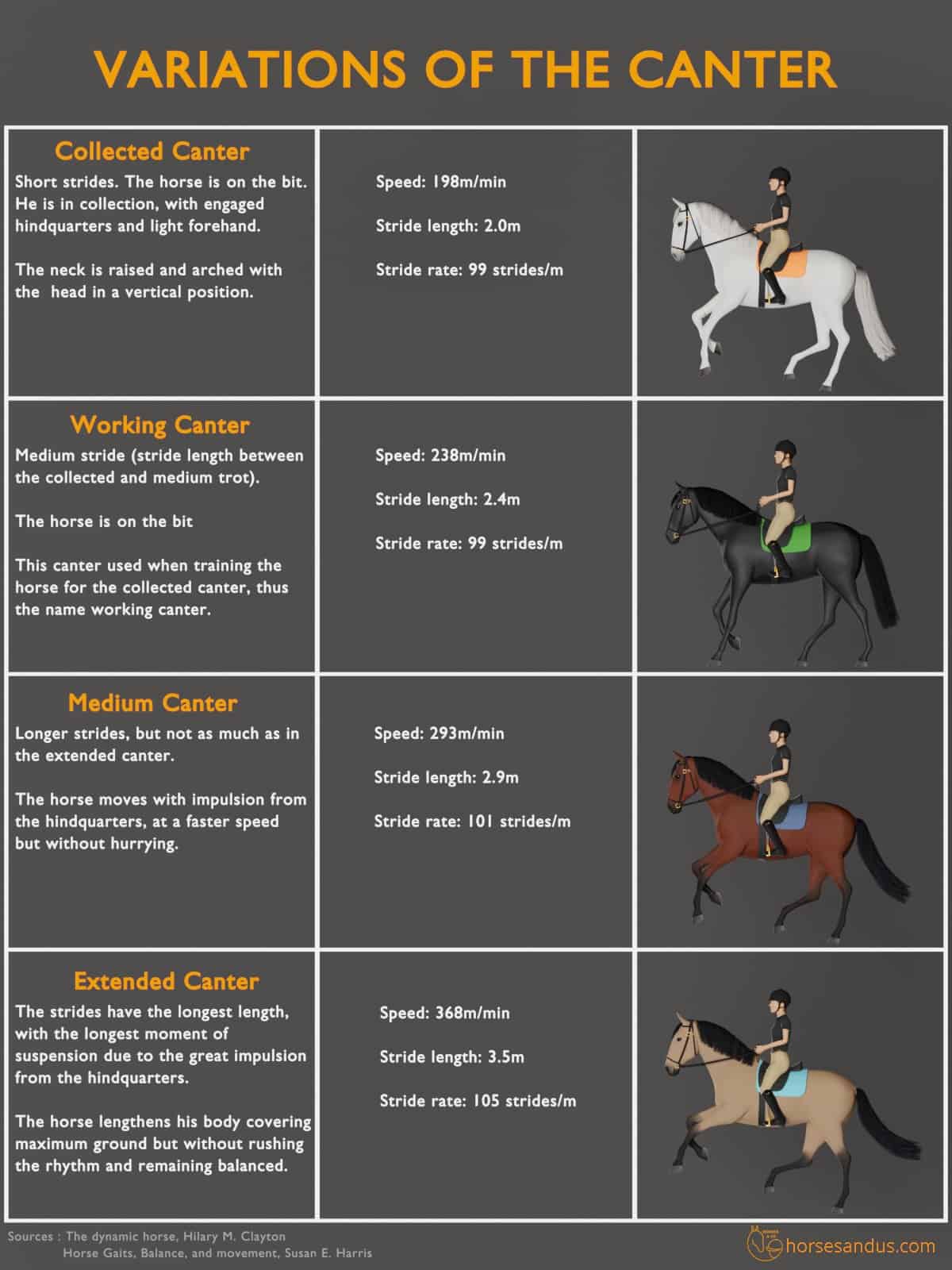 what-is-a-gaited-horse-understanding-smooth-gaits-breeds