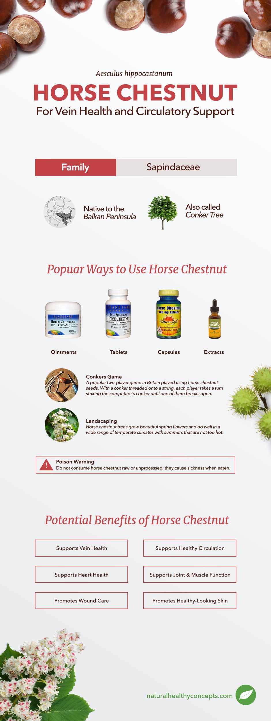 Benefits Of Horse Chestnuts