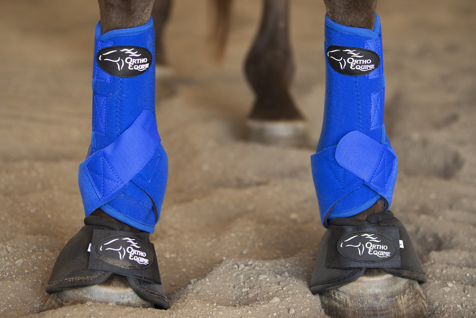 why use travel boots on horses