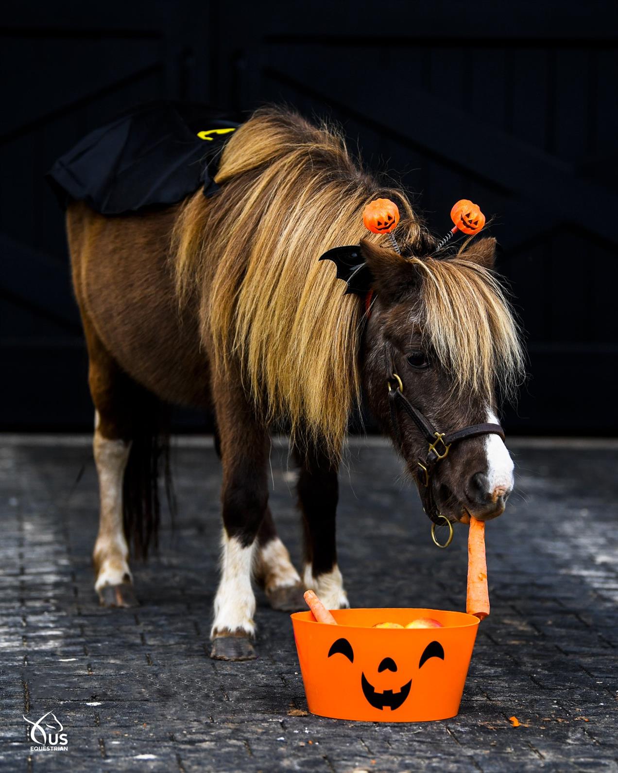 How to Decorate a Horse for Halloween: Ideas to Transform Your Equine Pal into a Spooktacular Sight!