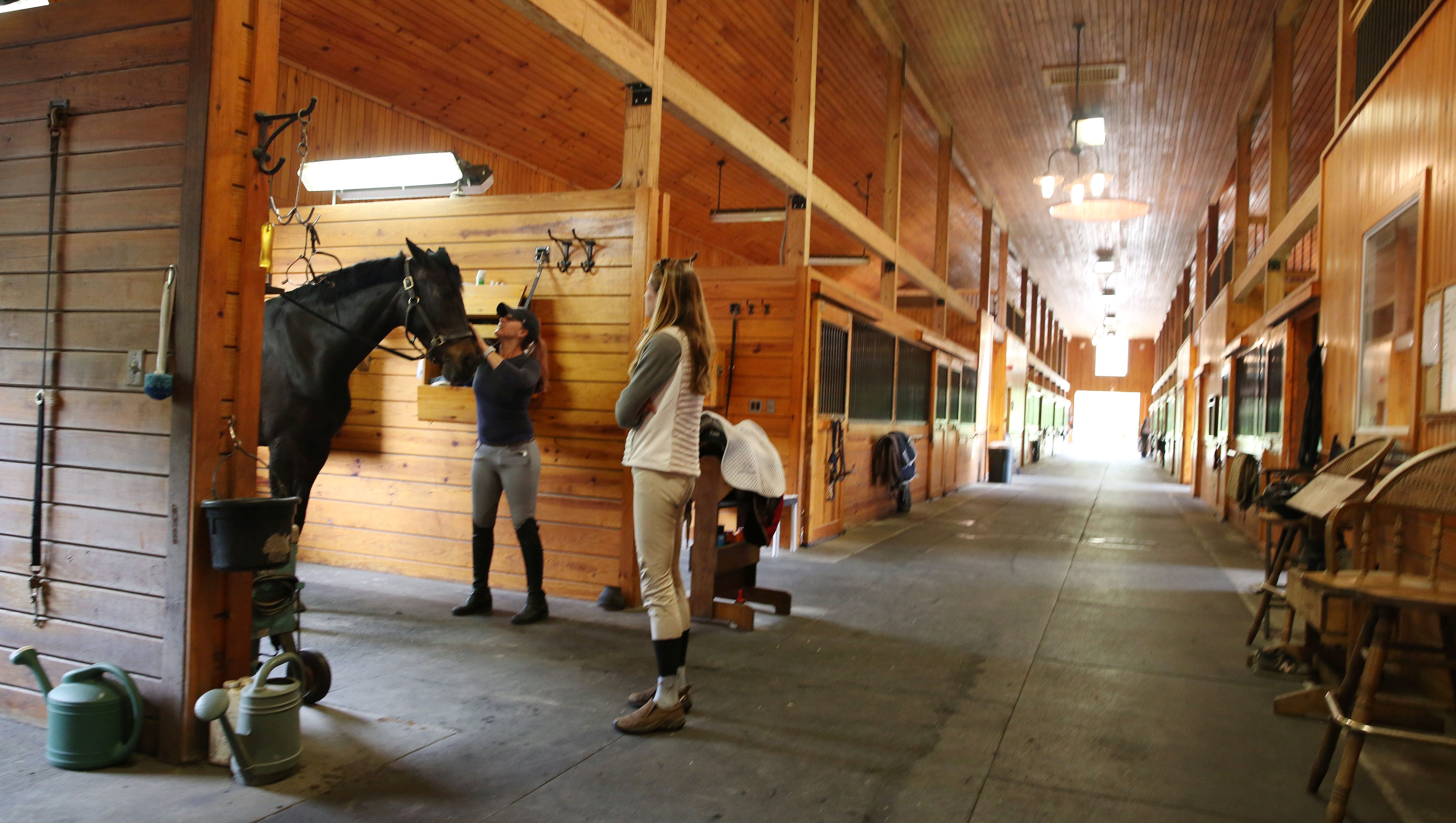 Finding Horse Stall Rentals