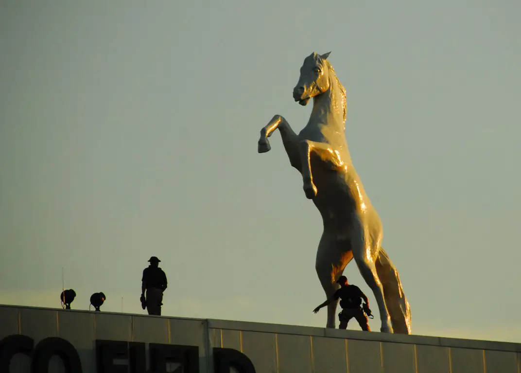 History Of The Bronco Horse