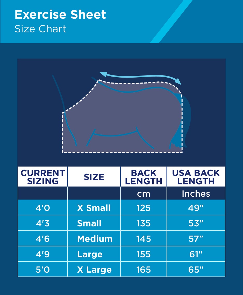 How to Measure for a Horse Blanket A Comprehensive Guide