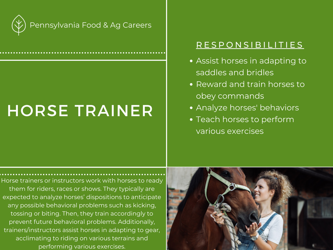 Horse Riders' Responsibility