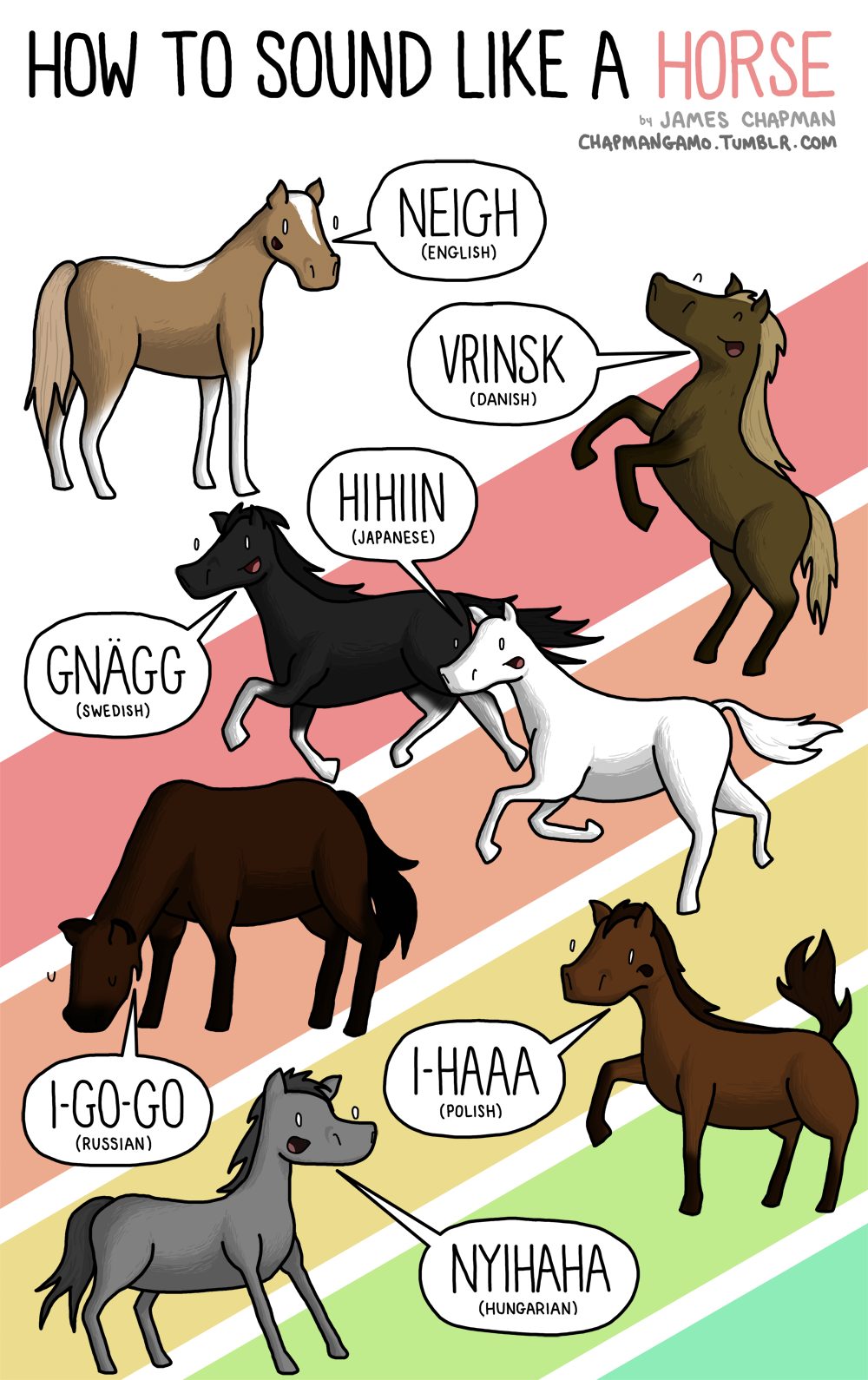 Horse Vocalizations