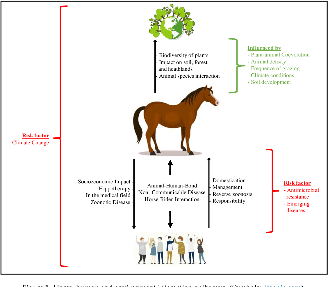 Horse Vs. Human Health
