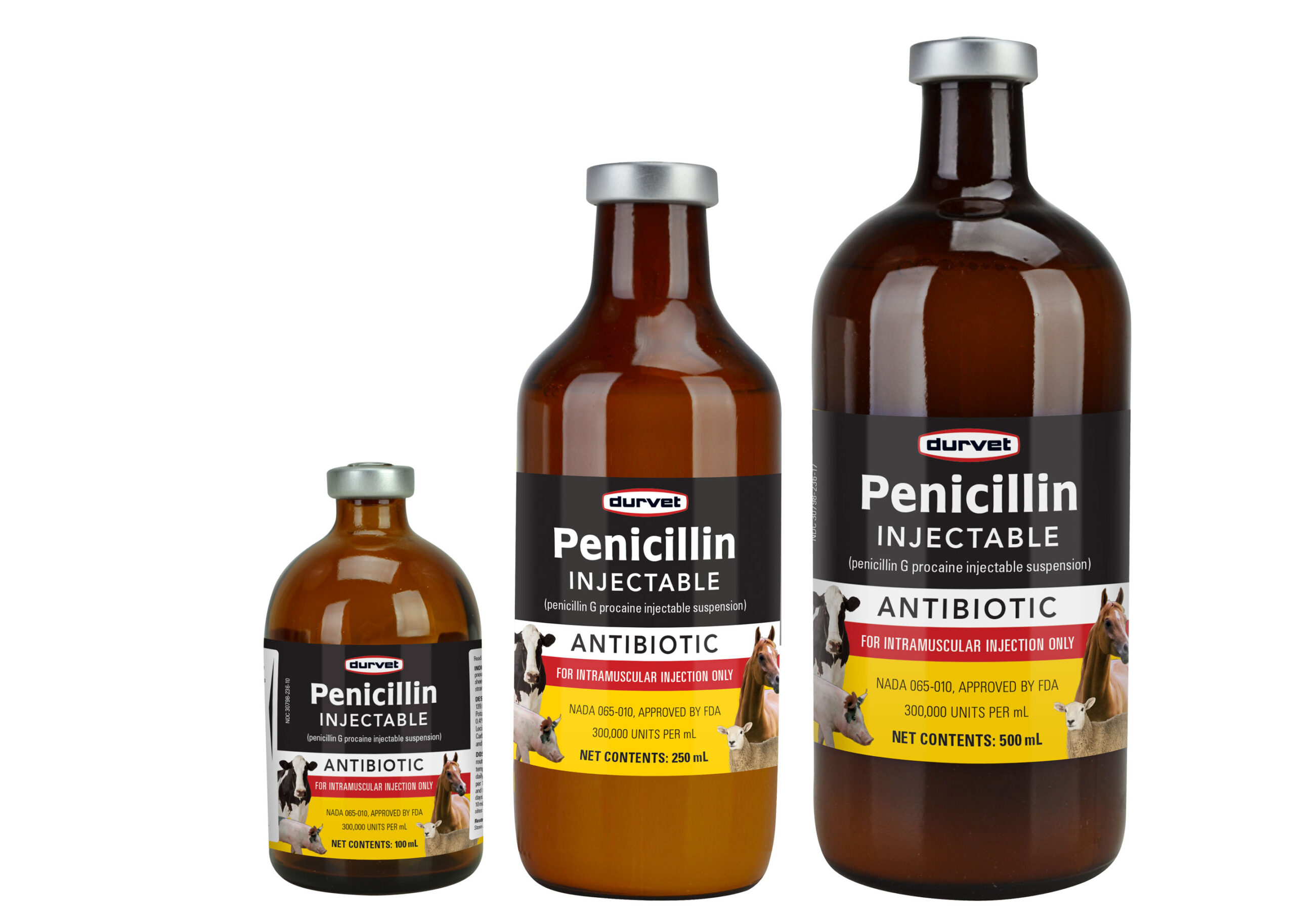How Much Penicillin Does Your Horse Need? Find Out Here!