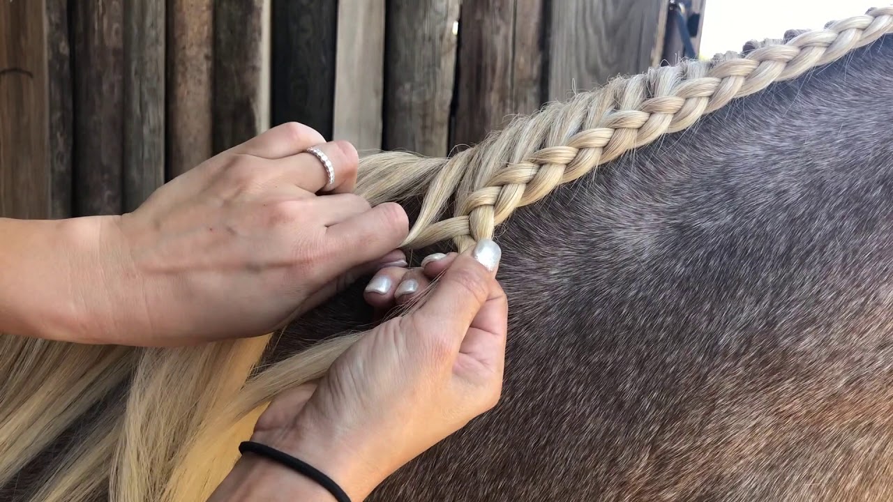 1 inch blue horse hair braid - wide 7