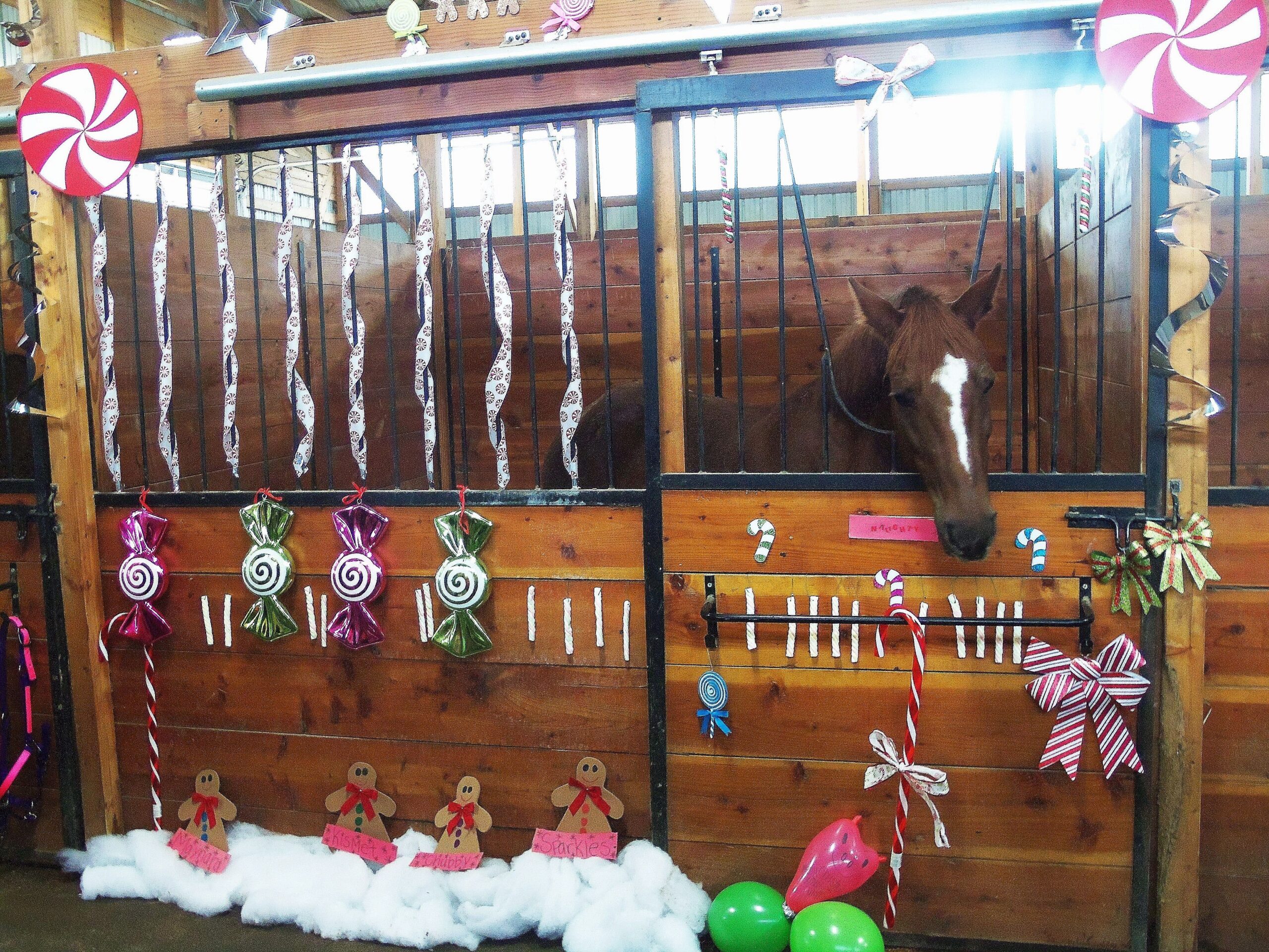 How To Decorate A Horse Stall For Christmas Create A Festive Atmosphere   How To Decorate A Horse Stall For Christmas Scaled 