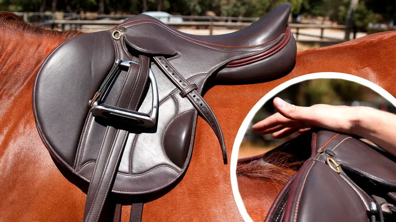How to fit a saddle to a horse a step by step guide to ensuring proper