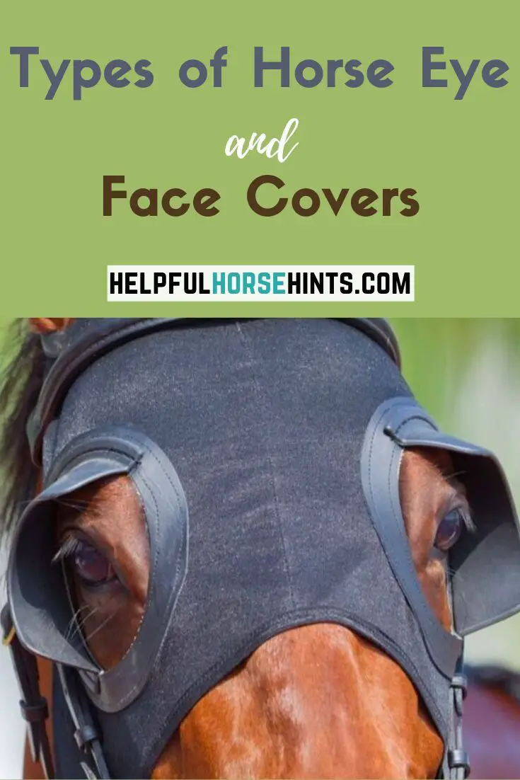 How To Fit Horse Eye Covers