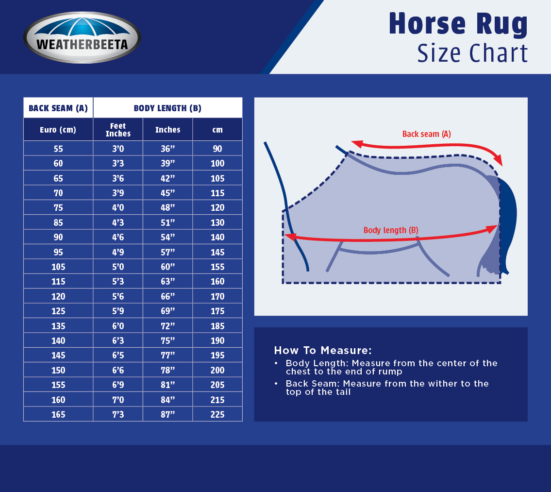 accurate-horse-blanket-measurement-guide-horse-care-advisor