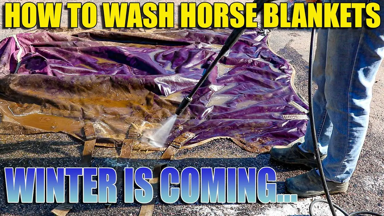 How to Wash Horse Blankets A StepbyStep Guide to Keep Your Horse's Blanket Clean and Fresh!