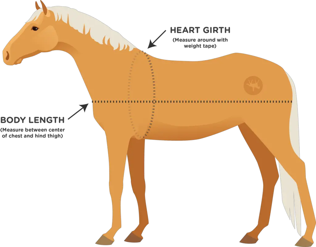 How to Measure for a Horse Blanket A Comprehensive Guide