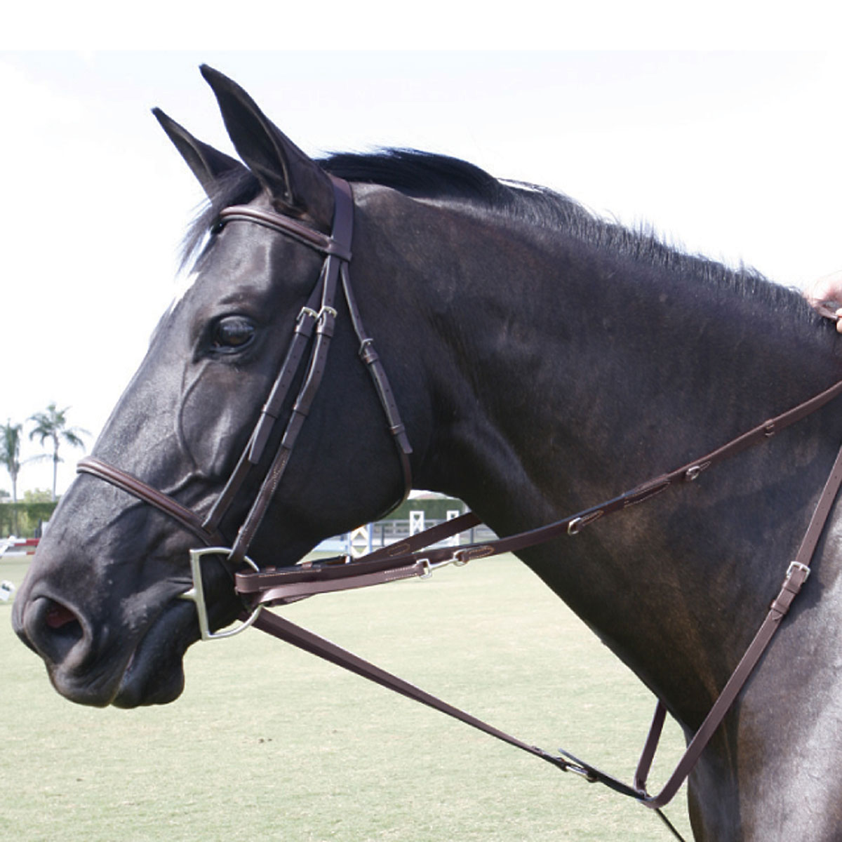 Martingales For Horses
