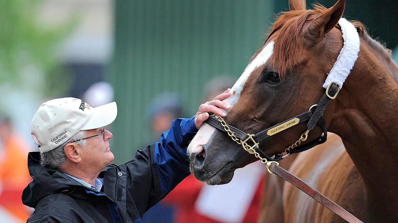 Measuring The Horse'S Nose