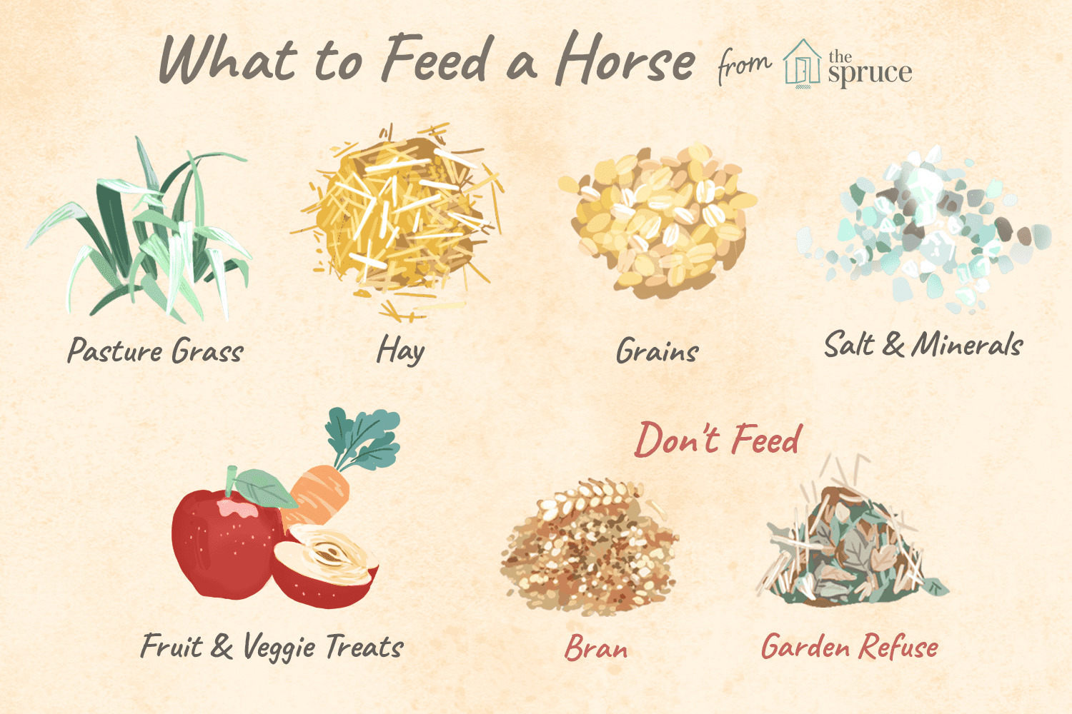 Overview Of Horse Diet