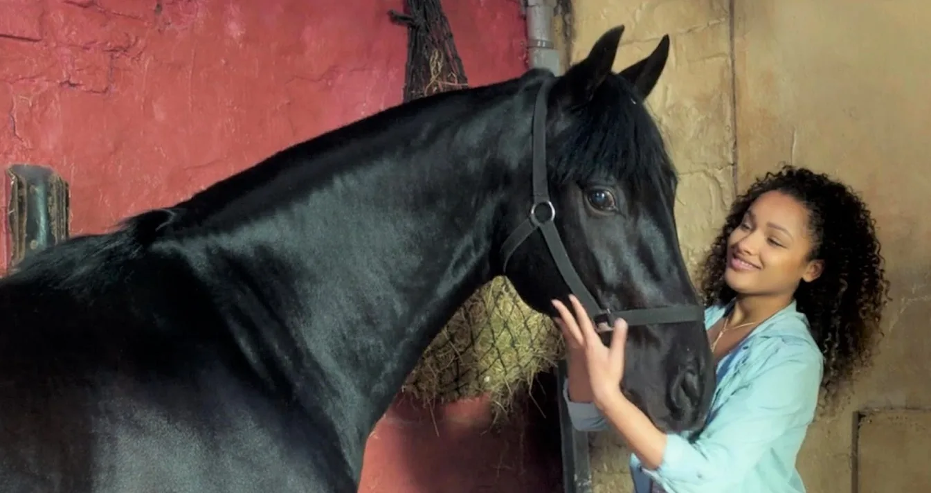 What Kind of Horse is Raven from Free Rein? Uncover the Mystery of the