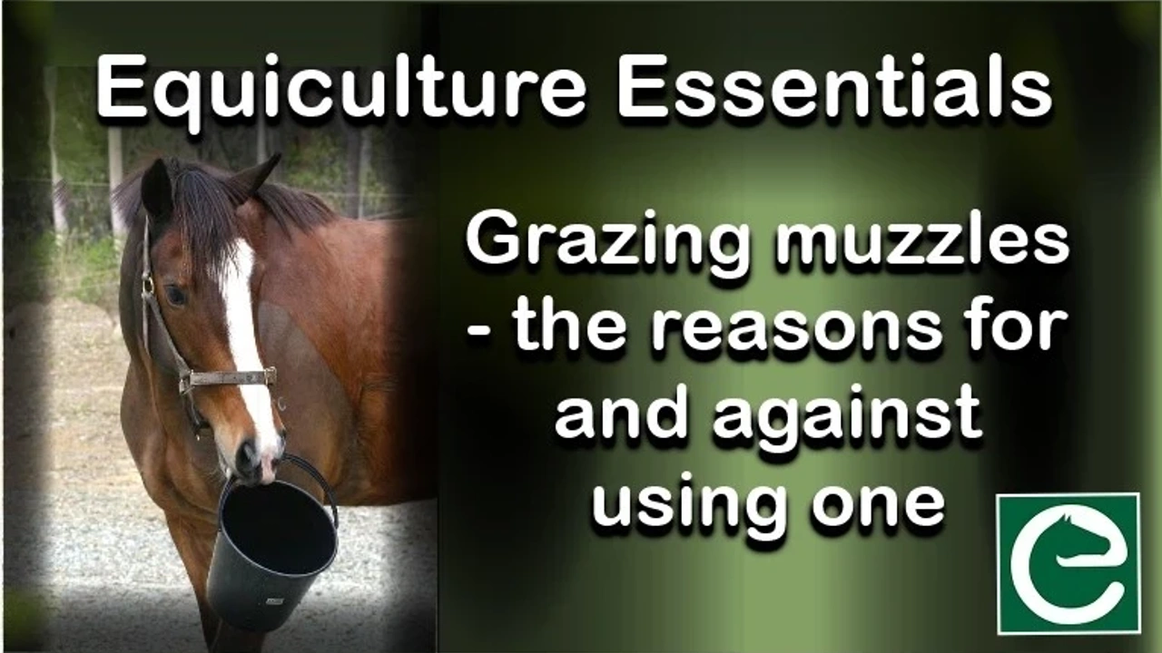Reasons For Using A Muzzle