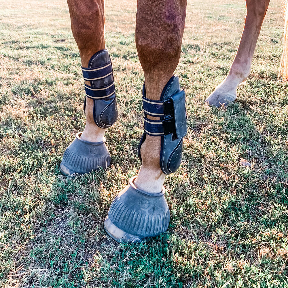 How to Put Boots on a Horse: A Step-by-Step Guide