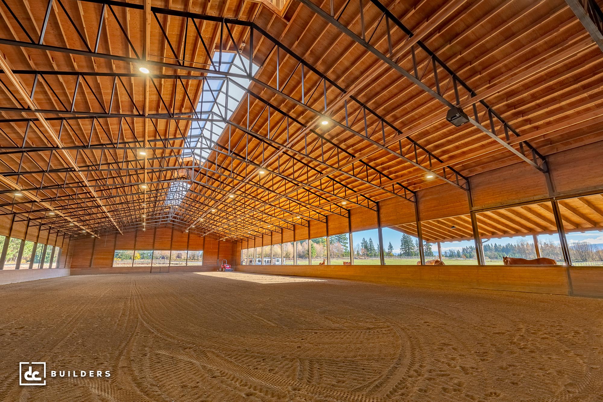 Discover the Size of a Horse Riding Arena What You Need to Know