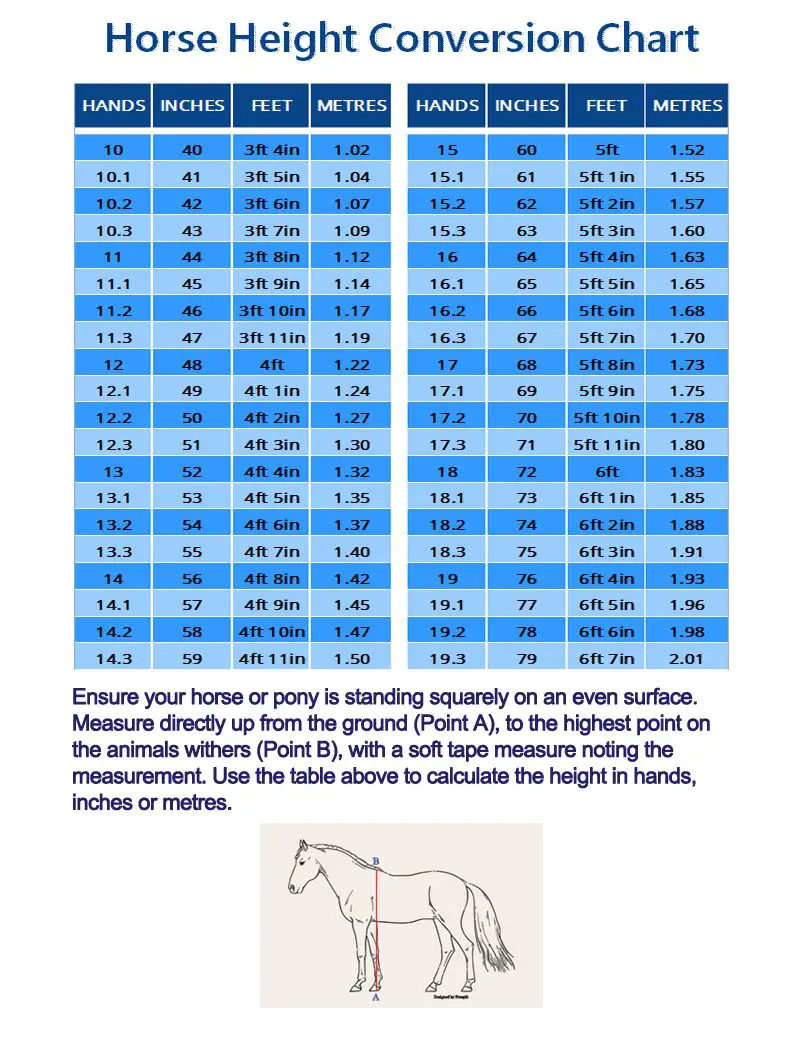 horse travel time calculator