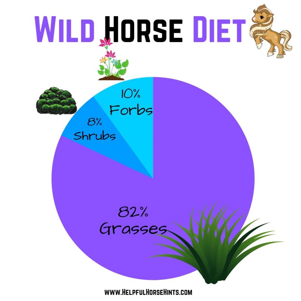 What Do Wild Horses Eat? A Comprehensive Guide to Their Diet