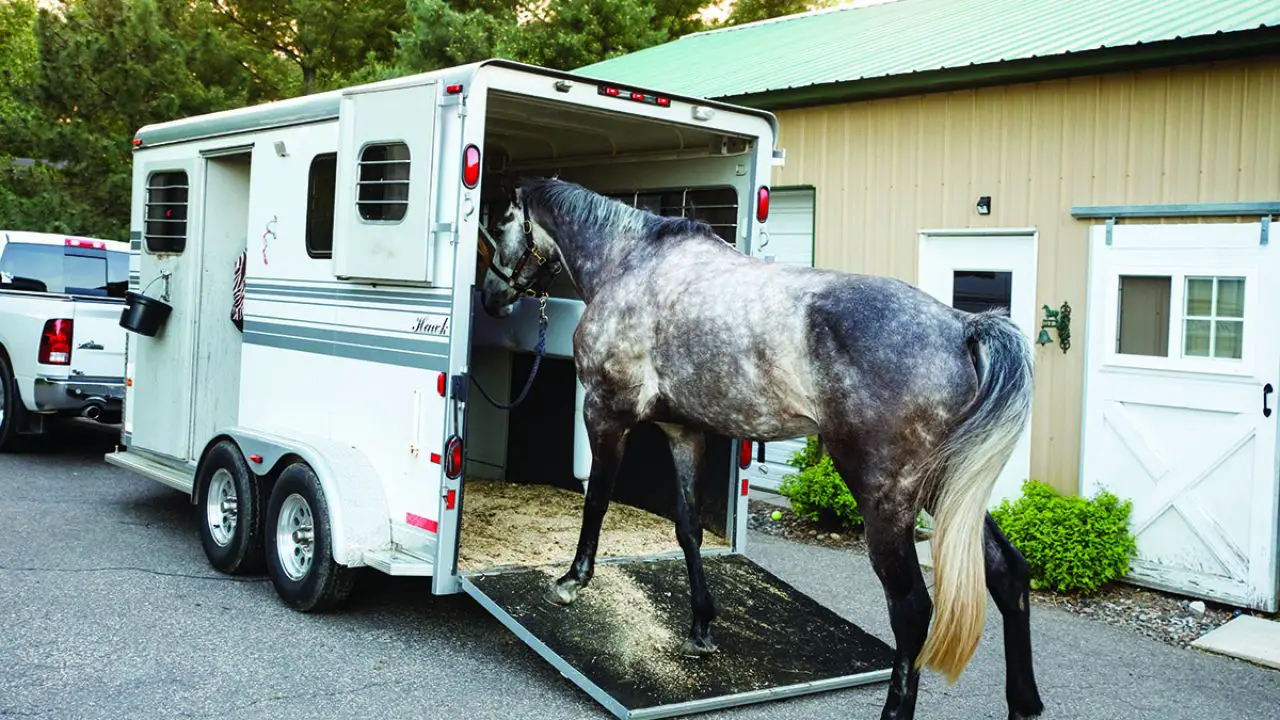 What Is A Horse Lorry Learn All About This Essential Piece Of Horse