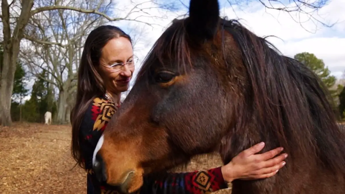 uncovering-the-mystery-of-when-horses-first-came-to-america