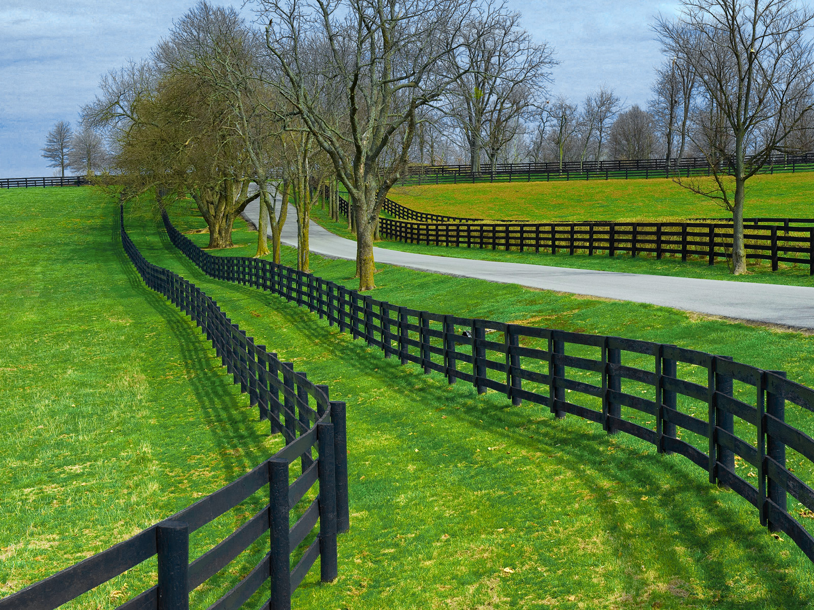 why-do-horse-farms-have-double-fences-the-benefits-of-having-two